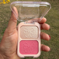 Blusher & Highlighter Duo - Any lady shiner girl